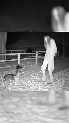 Something visited our barn. At first glance it looks human but when you see those limbs closer you know it's not. ​ --- ​ The unknown doesn’t need permission to come back. ​ Comment “𝗡𝗶𝗴𝗵𝘁𝗺𝗮𝗿𝗲” to claim your 𝗙𝗥𝗘𝗘 𝗕𝗲𝗿𝗸𝗹𝗲𝘆 𝗦𝘁𝗿𝗲𝗲𝘁 𝗣𝗿𝗲𝗾𝘂𝗲𝗹. ​ ​ ​ #HauntedHouse #Paranormal #GhostHunting #BerkleyStreet #GhostStories #Scary #Ghost #ScareStreet #HorrorFan | Scare Street: Scary Stories for Horror Fans