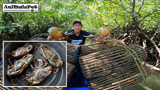 1M views · 645 shares | BUBU TRAP" Surigao Traditional Crab Trap Catch Big Mud Crabs | Catch N' Cook | AniMalupet | Facebook