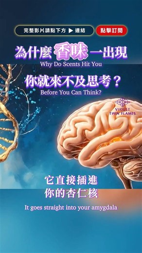 Scent: Reaching Your Brain Before Your Thoughts #Mozi #TwinPurpleFlame #Wisdom #Awakening #Enligh...