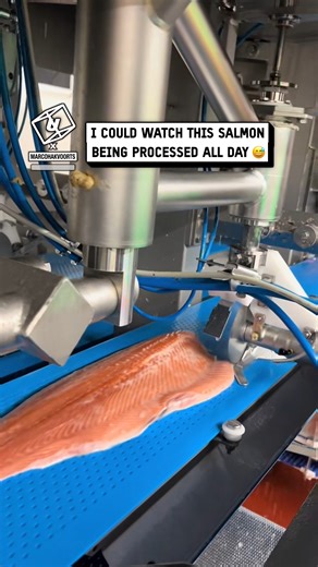 There's something so satisfying about preparing salmon 🐟🤩 #satisfying #machinery #fish #salmon #seafood | UNILAD