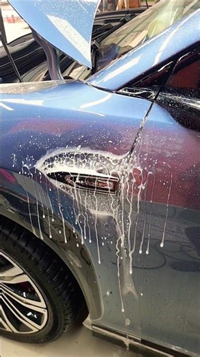 Satisfying BYD PPF Installation | Paint Protection Film#paintprotectionfilm #bydppf