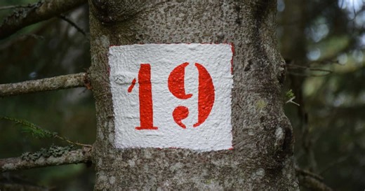 "19 ou dix-neuf ?": quand faut-il écrire les nombres en lettres ?