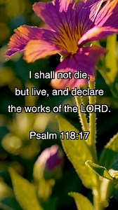 "I shall not die, but live, and declare the works of the LORD." - Psalm 118:17 #Bible #BIbleVerse #BibleStudy | Daily King James Bible Verses
