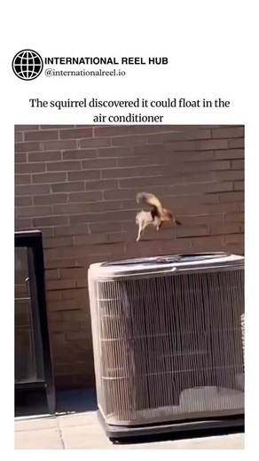 Spirit Science on Instagram: "Here’s to amazing animals!!"