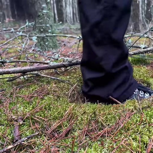 ফলক লিখে ফেলেছে, কেয়ামত পর্যন্ত কি কি হবে #viralvideo #foryou #fashion #livemocha #viralvideo