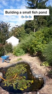 5.2K views · 25 reactions | Building a small fish pond  #fishpond #koipond #pond #fyp #DIY #waterfeature #backyardpond # | Fish Pond | Facebook