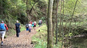 La ruta de las ferrerías descubre la primitiva industria del río Barbadun