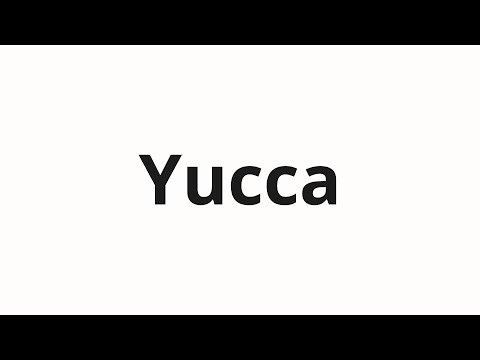 How to pronounce Yucca