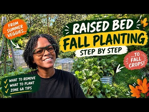Preparing My Vego Garden Beds for Fall Crops & Keeping Pests Out!