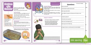 KS2 Pet Care of a Hamster Reading Comprehension Activity