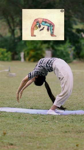 Beginner to Advanced Yoga Poses | Complete Progression Guide