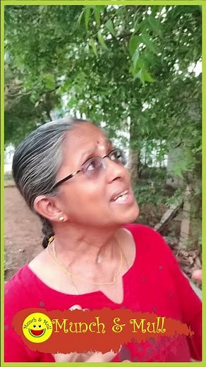 Can we Eat Neem Leaves Daily? Benefits of Eating Neem Leaves Daily