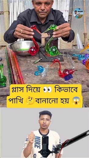 The Glass Process of Bird Creation