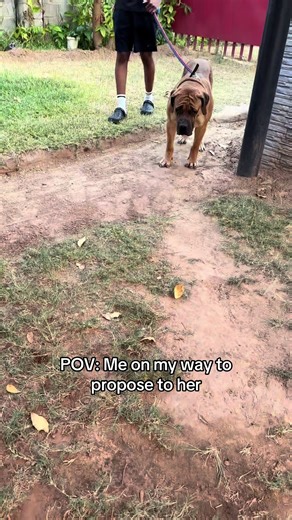 Creative Proposal Ideas: A Unique Approach