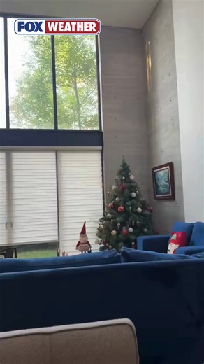 👀🎄QUAKE VS. TREE: This must-see footage shows a Christmas tree shaking in Mexico City after a 6.5-magnitude earthquake hit southern Mexico today. #earthquake #mexicocity #mexico #christmastree #shaking #viralvideos | FOX Weather