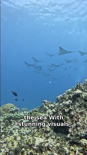 Ocean Currents: The Hidden Power of Our Oceans