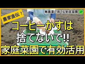 [Coffee Grounds] 4 Ways to Use Coffee Grounds in Your Home Garden, Including Weed Control [Taught...