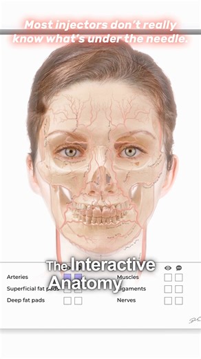 Dr Tim Pearce on Instagram: "New injector? Stop guessing what’s under the needle. Our Interactive Anatomy Tool + Layers Program lets you see each layer separately—so you can: ✅ Plan treatments with clarity ✅ Inject with confidence ✅ Explain procedures to your patients Part of the 2026 Beginners Foundation Bundle, giving you all the tools to go from overwhelmed → confident. 💥 33% OFF – Now £127 ⏰ Ends 1st January Stop second-guessing. Start injecting with clarity. 👉 Link in bio"