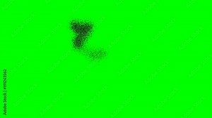 Flock of Birds - A starling murmuration with 10,000 starlings on a green background.