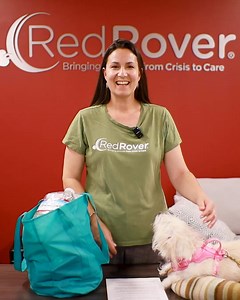 Is your pet's disaster go-bag ready? 🎒🐾 Watch our video to see how to create an effective disaster go-bag for your pet, packed with all the essentials to keep them safe and with you. From food and water to medical records, familiar toys, and copies of vaccine records – vital if emergency pet boarding becomes an option – a prepared kit makes all the difference. Ready to take the next step in preparing your furry, scaled, or feathered family member? Join our upcoming Pet Disaster Preparedness Zo
