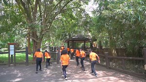 109K views · 2.6K reactions | From urban safari to the breathtaking virgin North, to that hike atop mountainous terrains, to the complete wilderness and back to the wildlife sanctuaries, There's something for everyone beyond your comfort. Explore and Discover the beauty of Kenyan Parks. #JerusalemaDanceChallenge #KWSDreamTeam https://bit.ly/3daivNl | Kenya Wildlife Service | Facebook