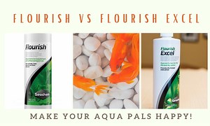 Flourish vs Flourish Excel: Make Your Aqua Pals Happy! - Home Forestry