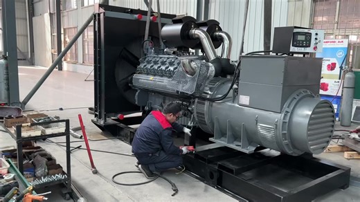 800KVA diesel generator set#diseslgenerator #generatorset #generator #thedieselgeneratorteam