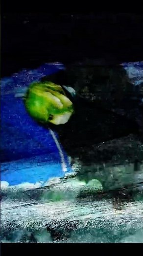 A giant icy pond monster is loose… but we may have a way to deal with it! #pondmonster