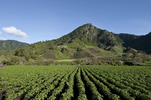 Cerro Punta Travel Guide - Expert Picks for your Vacation