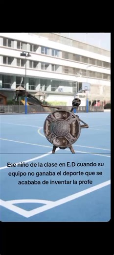 Understanding Student Reactions in PE Classes