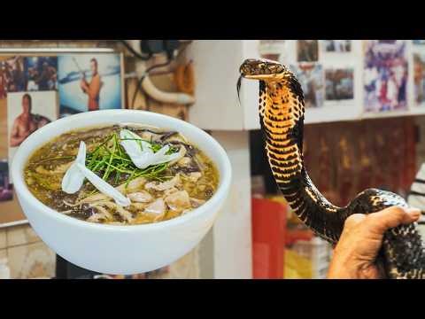 Chinese Banquet of Rare Delicacies: Snake, Ostrich & Turtle