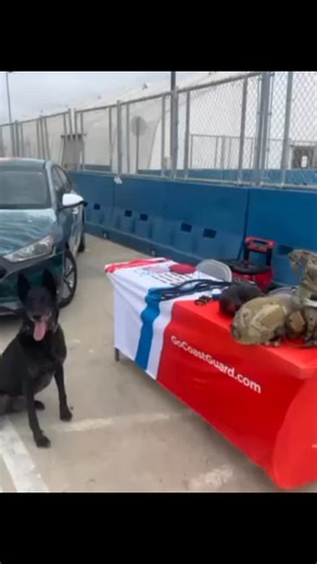 2.2K views · 692 reactions | For the first time since 2008, the U.S....