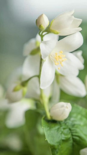 138K views · 10K reactions | The Ancient 5,400-Year-Old Tunic at the...