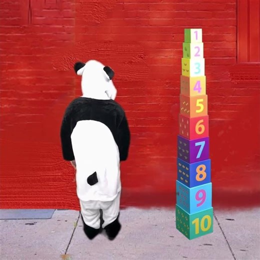 learn Counting Numbers