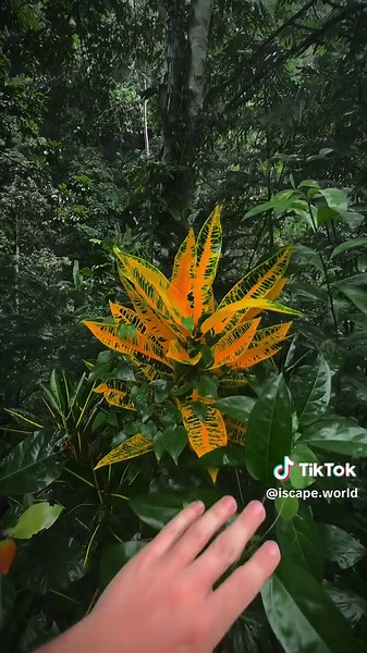 #travel #travelgram #wanderlust #adventuretime #travelphotography #passportready #roamtheplanet #globetrotter #discoverearth #tripofalifetime #nature #naturelovers #earthpix #wildlife #naturephotography #beautifuldestinations #landscape #greenplanet #mothernature #exploremore