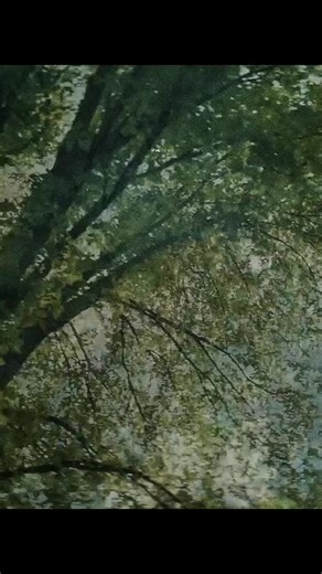 #liampayne #polaroid #subespañol #lyrics #fyp