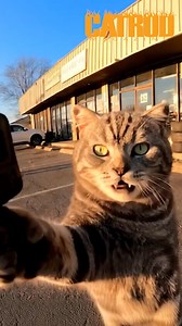 427K views · 10K reactions | Parts store visit #catrod | Rat Rod Magazine | Facebook