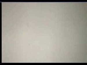 Damn funny survey feedback