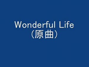 Wonderful Life(原曲).wmv