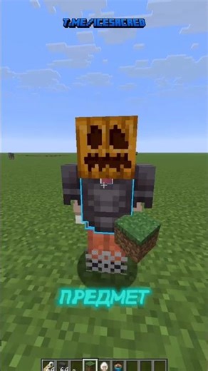 🚷 NPC Mod | Minecraft