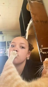 261K views · 5.4K reactions | My Cat vs Other Cats – Ultimate Weirdo Showdown!﫣藍 Ever wondered how other cats act all graceful and majestic... and then there’s my cat. Watch this hilarious comparison of elegance vs chaos, fluff vs flop, and grace vs gremlin. #MyCatVsOtherCats #FunnyCats #CatComparison #CatLife #WeirdCat #CatShorts #CatComedy #CatLovers #PetHumor #RelatableCats | Iram Mulla | Facebook