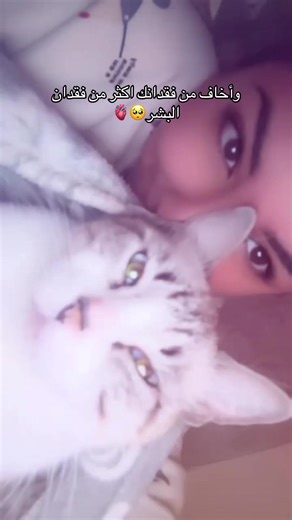 Vidéos de Demoiselle_douaa (@douaa_ber) avec عشانك - Siilawy