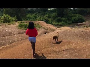 African village girl slaughtering sheep for food part one