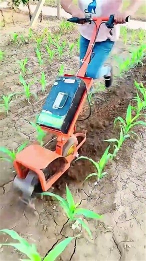 Electric weeder, cultivator, one machine with multiple functions, saving time, effort and labor.