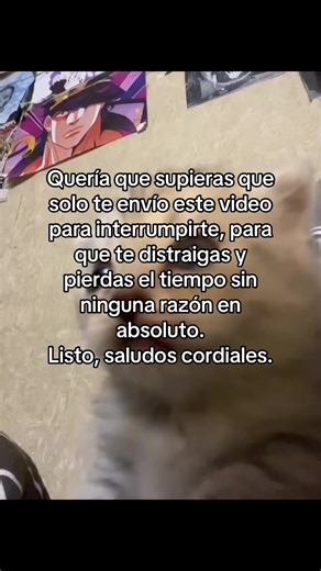 🤪🤪🤪 #gato #fyp #meme #memes | gato