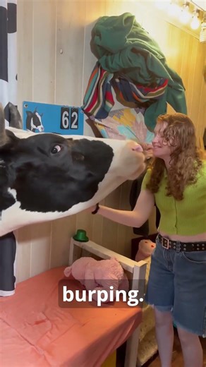 Why vets sometimes use fire to save animals #facts #animals #wildlife #cow #savelife #animalfacts