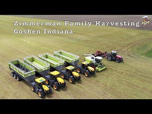 Chopping Triticale with Zimmerman Family Harvesting