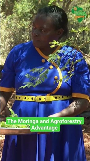 Unlock the power of the "Miracle Tree"​