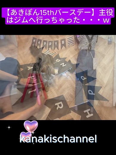 【あきぽん15thバースデー】主役はジムへ行っちゃった・・・Part.1