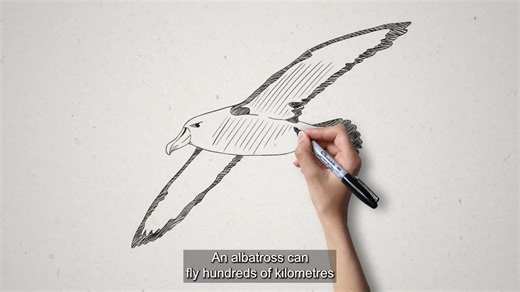 Airbus makes major change to planes